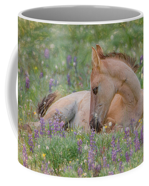 Wild Mustangs Coffee Mug featuring the photograph Wild Mustang Foal in the Wildflowers by Marcy Wielfaert