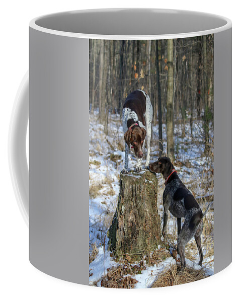German Shorthaired Pointers Coffee Mug featuring the photograph My Stump by Brook Burling
