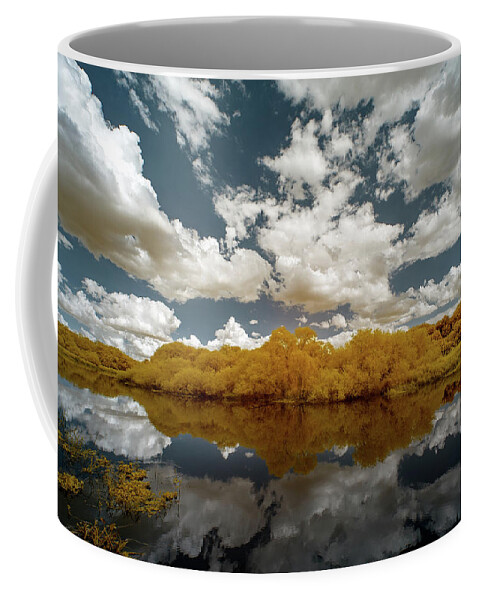 Jon Glaser Coffee Mug featuring the photograph Myakka State Park in Florida by Jon Glaser