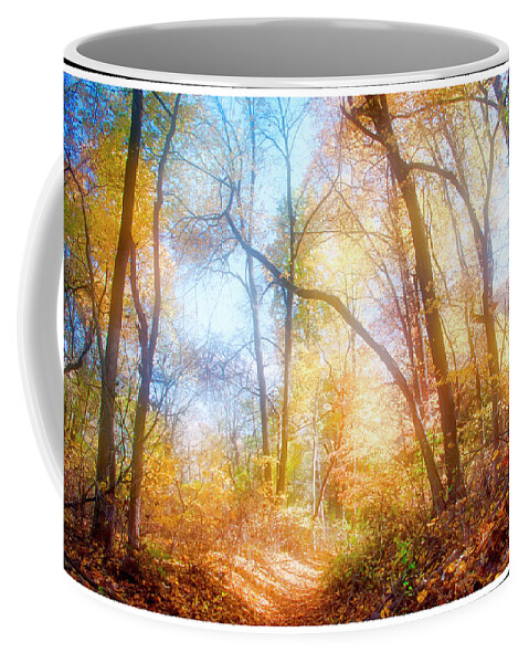 Narrow Path Coffee Mug featuring the photograph Narrow Path in a Forest, Autumn by A Macarthur Gurmankin