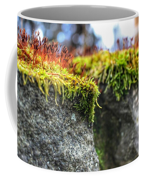 Moss Coffee Mug featuring the photograph Nascent by Christopher Lotito
