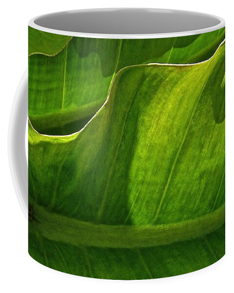James Temple Coffee Mug featuring the photograph Natural Flow by James Temple