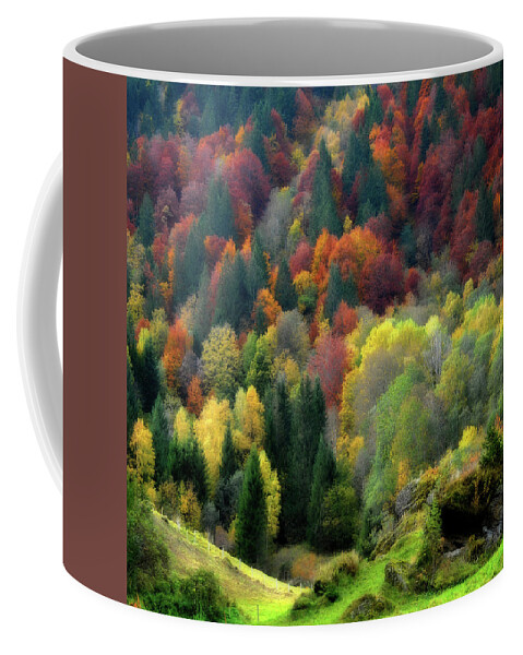 Autumn Coffee Mug featuring the photograph Nature Palette by Philippe Sainte-Laudy