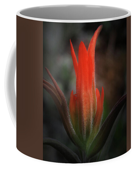 Indian Coffee Mug featuring the photograph Nature's Fire by Brian Gustafson