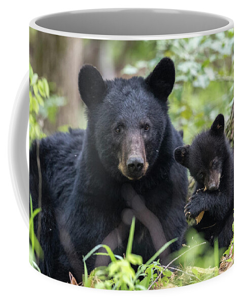 Bear Coffee Mug featuring the photograph Natures Toothbrush by Everet Regal