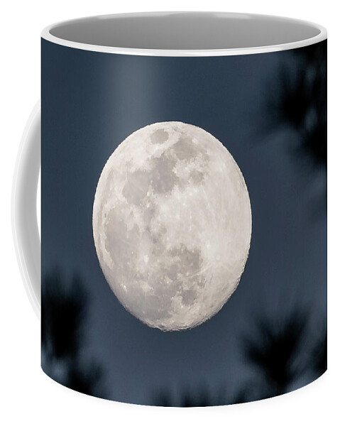 Full Coffee Mug featuring the photograph Night Light by Donna Twiford