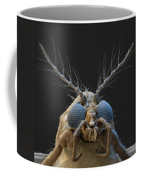 Animal Coffee Mug featuring the photograph Nonbiting Midge, Chironomidae Sp., Sem by Meckes/ottawa