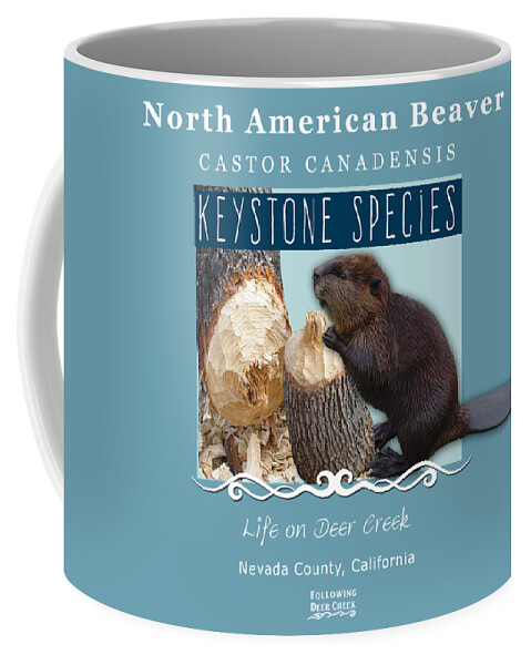 Castor Canadensis Coffee Mug featuring the digital art North American Beaver by Lisa Redfern