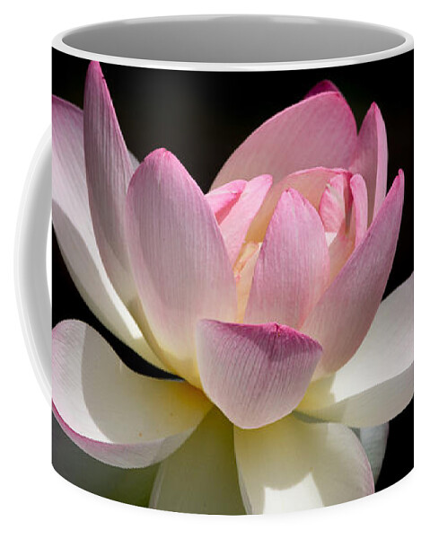 Lotus Coffee Mug featuring the photograph Not Your Average Waterlily by Linda Bonaccorsi