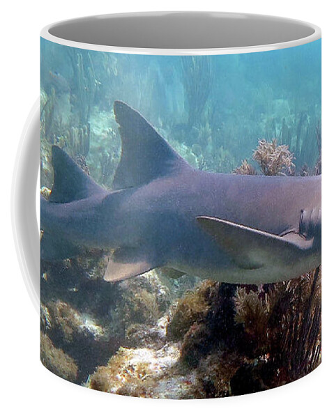 Underwater Coffee Mug featuring the photograph Nurse Shark 27 by Daryl Duda