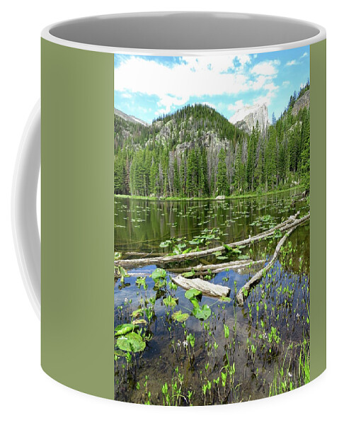 Colorado Coffee Mug featuring the photograph Nymph Lake Colorado by Connor Beekman
