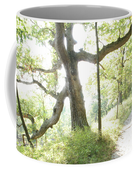 Oak Aura Coffee Mug featuring the photograph Oak Aura by Dylan Punke