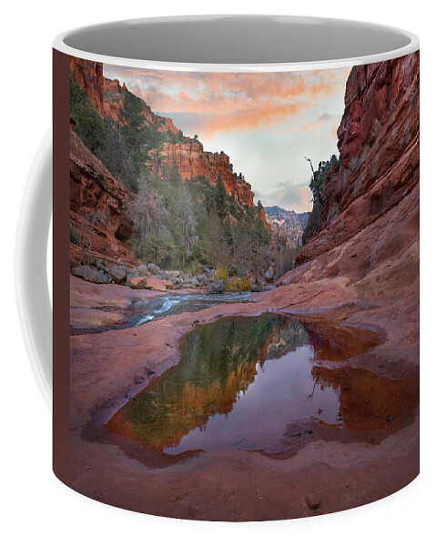 00565352 Coffee Mug featuring the photograph Oak Creek, Coconino National Forest, Arizona by Tim Fitzharris