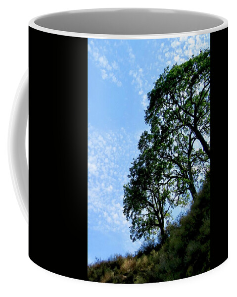 Oak Coffee Mug featuring the photograph Oaks and Sky by Sarah Lilja