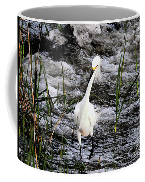 Egret Coffee Mug featuring the photograph Oblivious Great White Egret by Scott Cameron