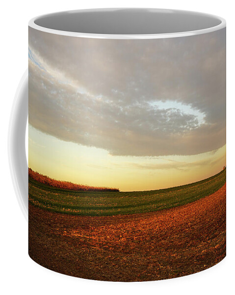 Autumn Coffee Mug featuring the photograph Autumn Field by Tana Reiff