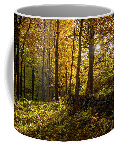 Autumn Coffee Mug featuring the photograph October Morning by Diane Diederich