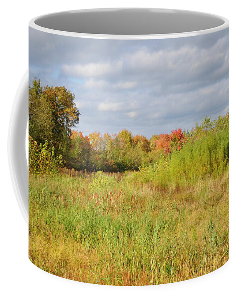 Canton Coffee Mug featuring the photograph October Wetlands by Luke Moore