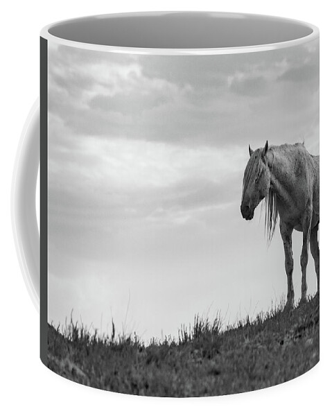Wild Horse Desert Black And White Equine Old Coffee Mug featuring the photograph Old Man by Dirk Johnson