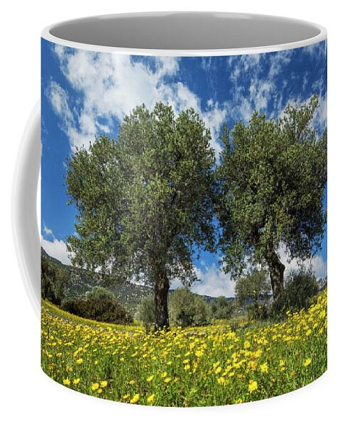 Estock Coffee Mug featuring the digital art Olive Trees, Near Kantara, Cyprus by Reinhard Schmid