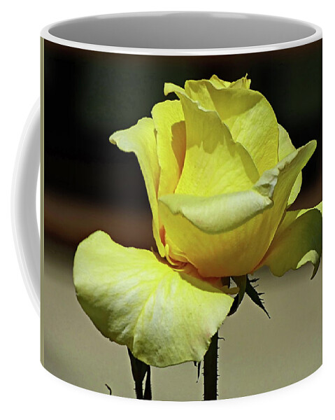 Rose Coffee Mug featuring the photograph One More Yellow Rose by Lyuba Filatova