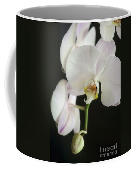 Orchids Coffee Mug featuring the photograph One On The Way by Joan Bertucci