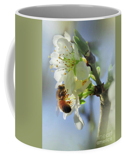 Plum Blossoms Coffee Mug featuring the photograph One Spring Morning 3 by Kim Tran