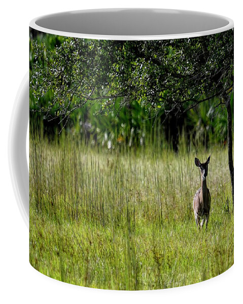 Landscape Coffee Mug featuring the photograph One, Two, Tree Oh Deer by T Lynn Dodsworth