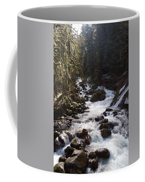 Oneonta Creek Coffee Mug featuring the photograph Oneonta Creek by Dylan Punke