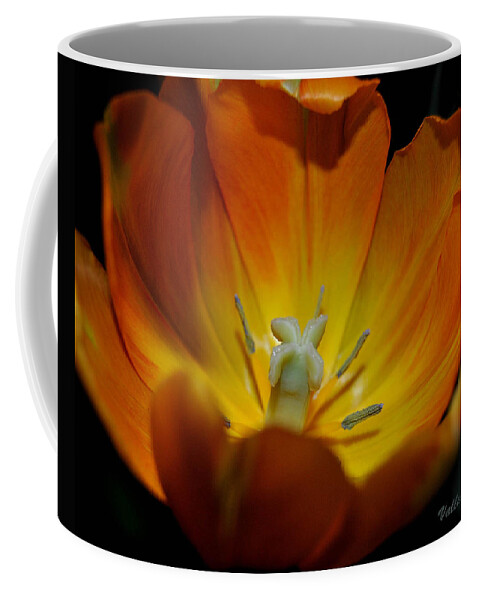 Flower Coffee Mug featuring the photograph Open Tulip by Vallee Johnson