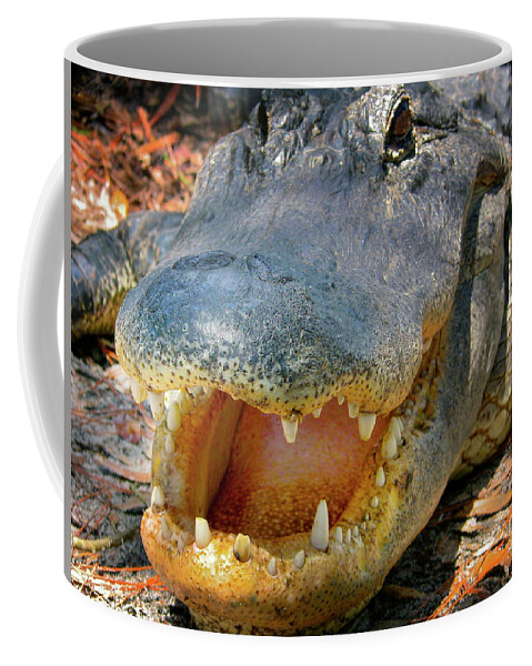 Alligator Coffee Mug featuring the photograph Open Wide by Mark Andrew Thomas