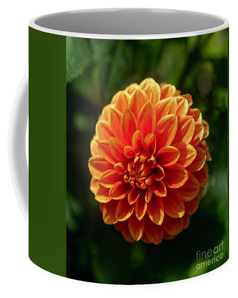 Nature Coffee Mug featuring the photograph Orange Beauty by Abigail Diane Photography