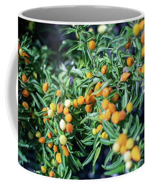 Photograph Coffee Mug featuring the photograph Orange Berry by Kelly Thackeray