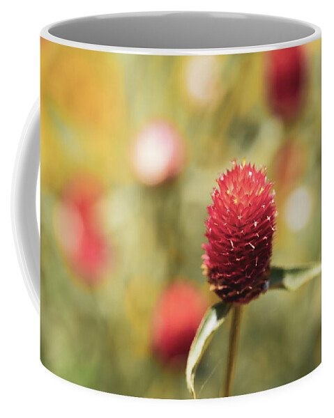 Flowers Coffee Mug featuring the photograph Nature Photography - Flowers by Amelia Pearn