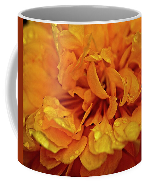 Nature Coffee Mug featuring the photograph Orange Kist by John Benedict