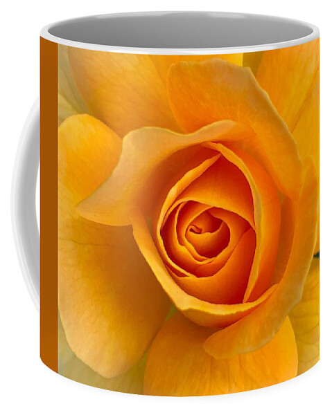 Flower Coffee Mug featuring the photograph Orange Rose by Anamar Pictures