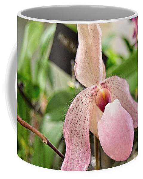 Orchids Coffee Mug featuring the photograph Orchid 2 by Charles HALL