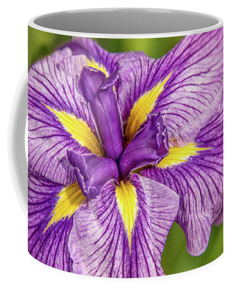 Flower. Orchid Coffee Mug featuring the photograph Orchid #3 by Minnie Gallman