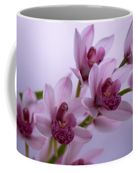 Tropical Coffee Mug featuring the photograph Orchid Love by Roberta Kayne