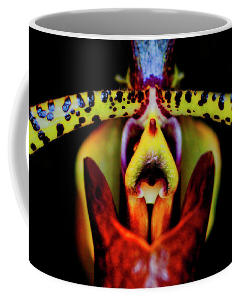 Orchid Coffee Mug featuring the photograph Orchid Study Six by Meta Gatschenberger