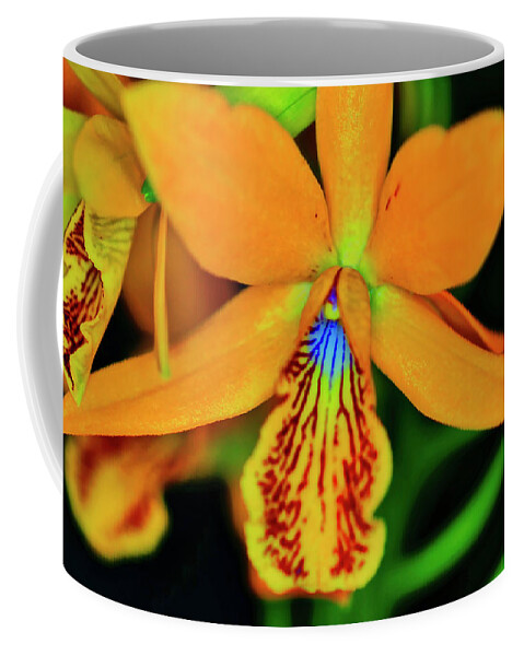 Orchid Coffee Mug featuring the photograph Orchid Study Sixteen by Meta Gatschenberger