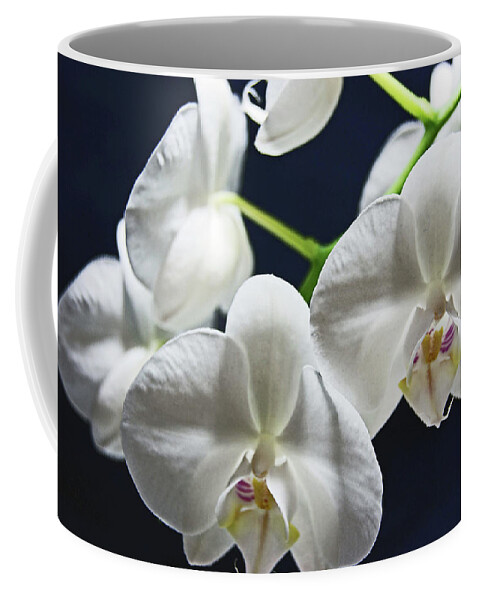 Orchids Coffee Mug featuring the photograph Orchids by Lachlan Main