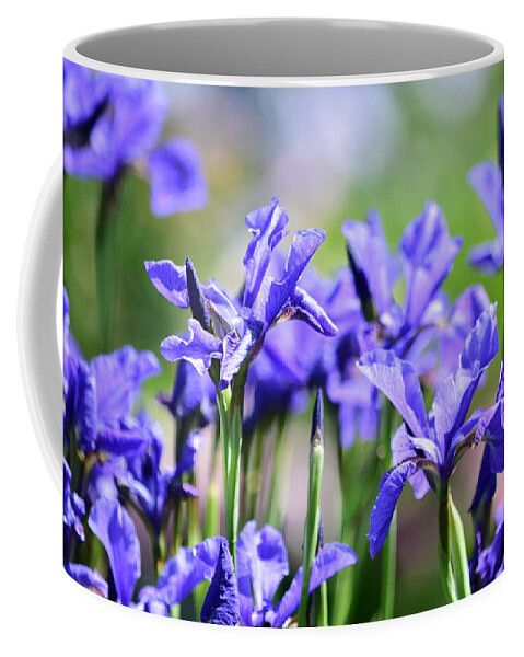 Purple Iris Coffee Mug featuring the photograph Oregon Iris by Bonnie Bruno