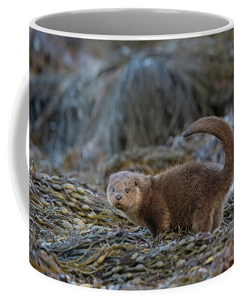 Otter Coffee Mug featuring the photograph Otter Cub Tail Up by Pete Walkden