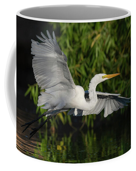 Great Egret Coffee Mug featuring the photograph Out of The Shadows. by Paul Martin