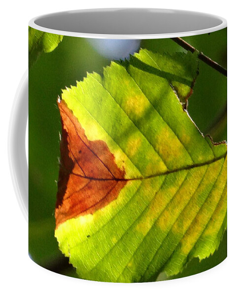 Leaf Coffee Mug featuring the photograph Outstanding leaf by Karin Ravasio