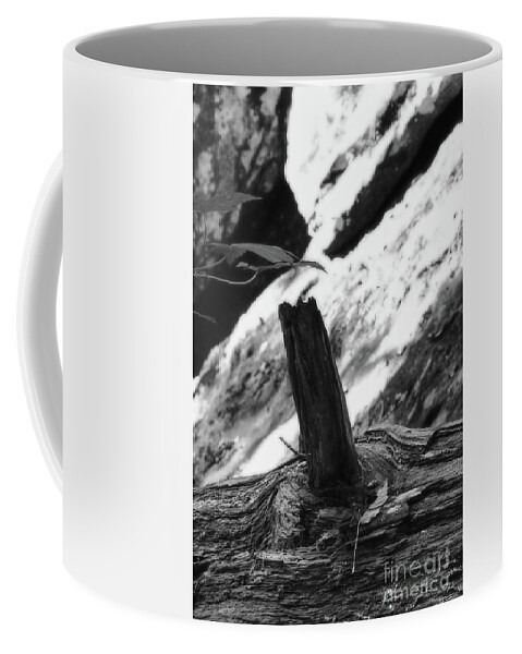 Tennessee Coffee Mug featuring the photograph Ozone Falls 9 by Phil Perkins