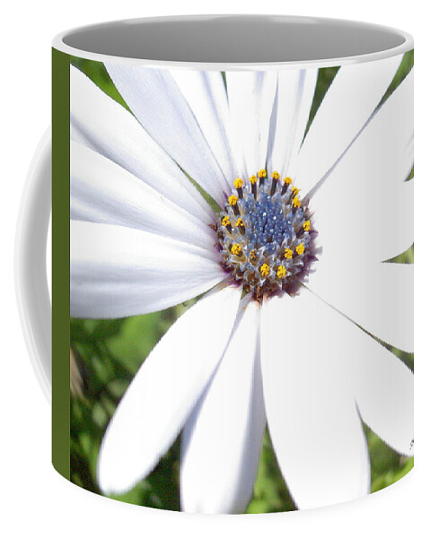 Peace In The Present Moment Coffee Mug featuring the photograph Page 13 from the book, Peace in the Present Moment. Daisy Brilliance by Michele Penn