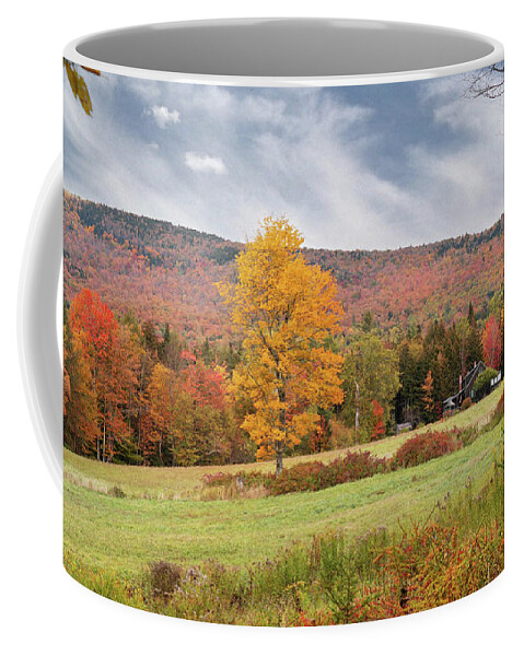 Autumn Coffee Mug featuring the photograph Paint by Seasons by John Rivera