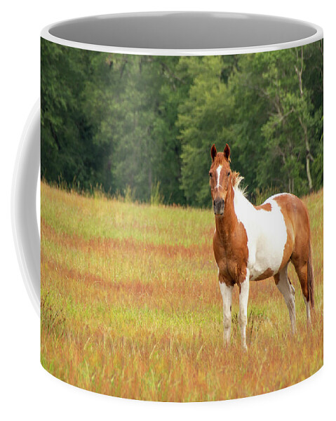 Alert Coffee Mug featuring the photograph Paint Horse In Meadow by Kristia Adams